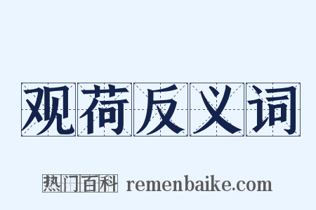 观荷反义词是什么意思的图片